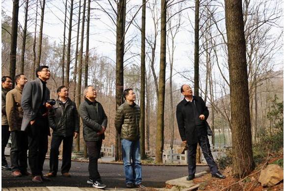 GA黄金甲(中国)最新官方网站