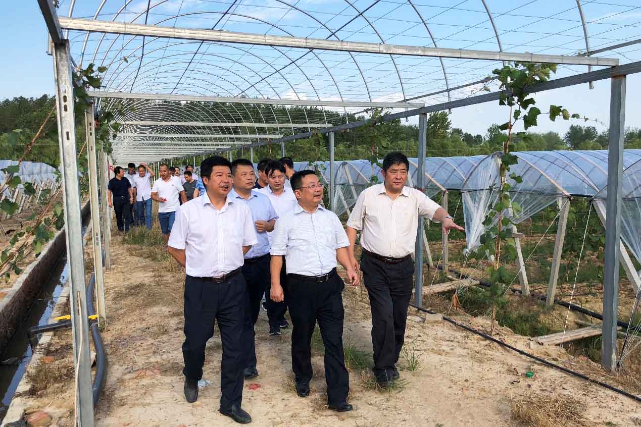 GA黄金甲(中国)最新官方网站