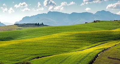 GA黄金甲(中国)最新官方网站